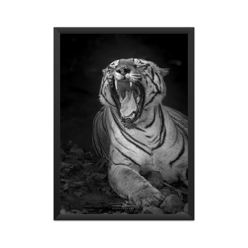 Front View - 5576516