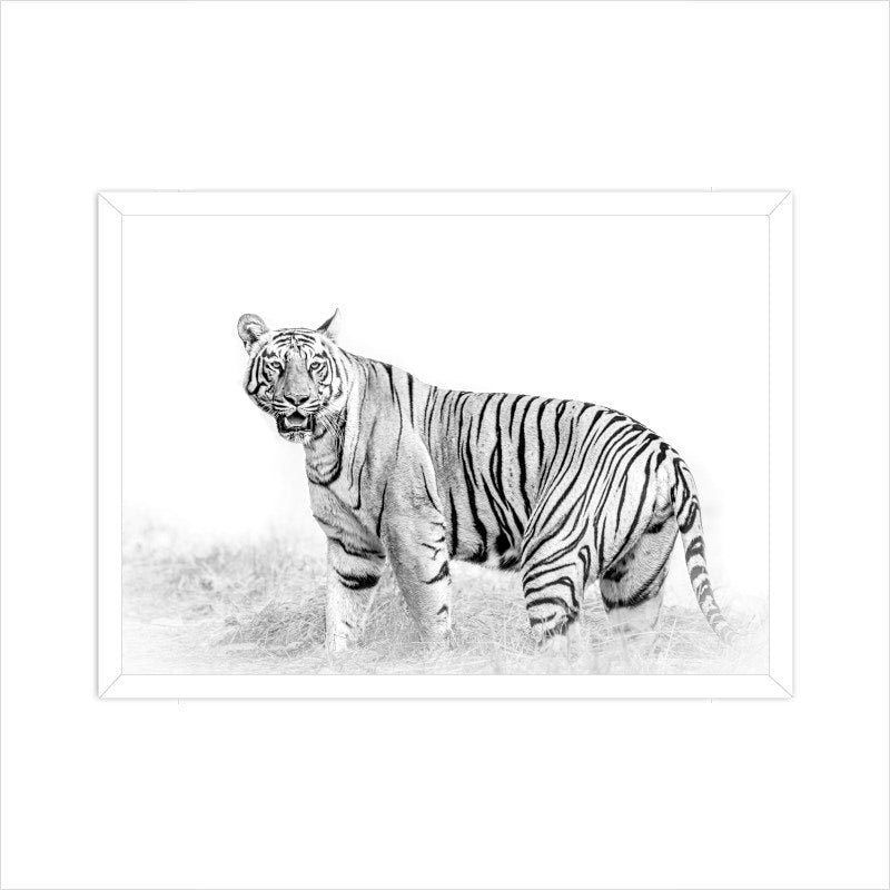 Front View - 5576989