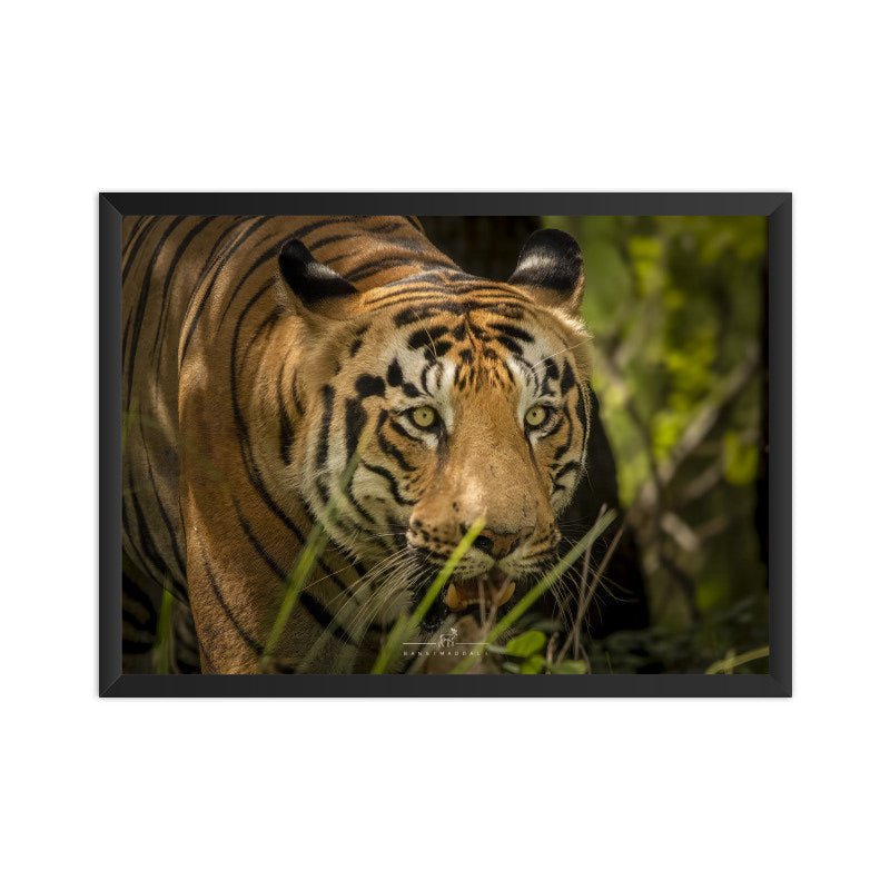 Front View - 5577434